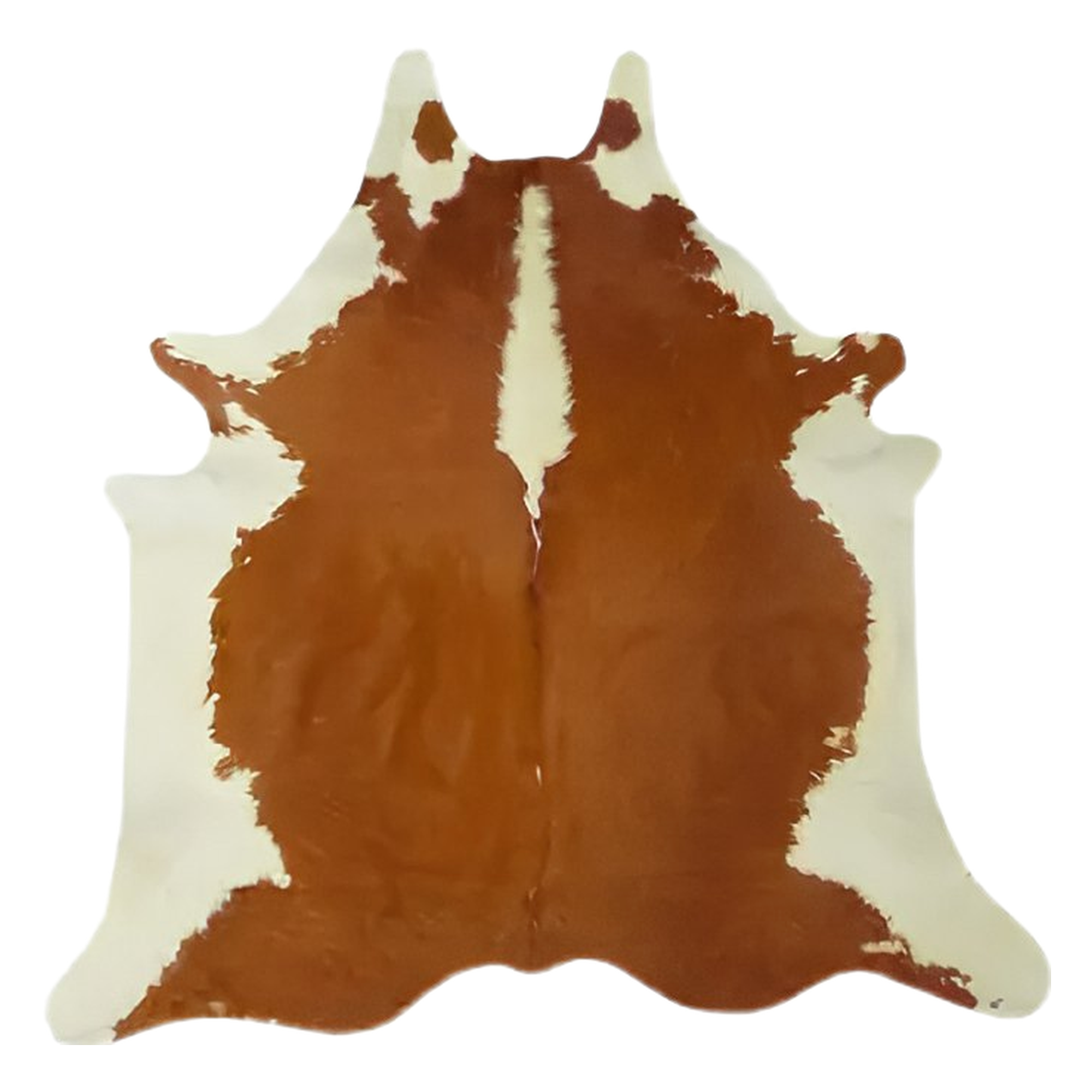 How to Clean a Cowhide Rug: The Complete Guide