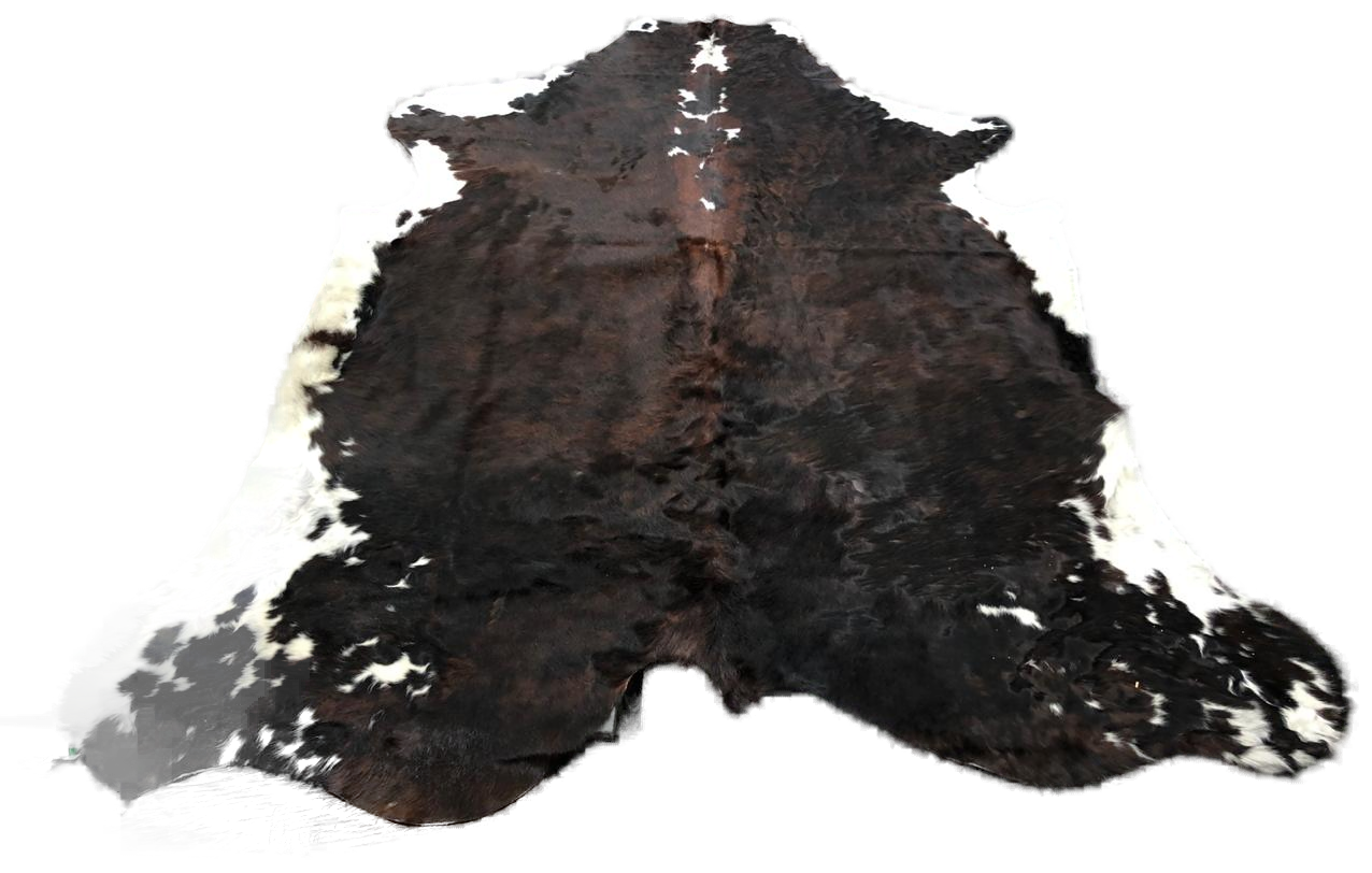 Espresso cowhide — exact hide No. 12
